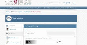 moi qatar visa check